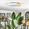 Cadaixo Plafondlamp, Paneel LED Wit, 1-licht