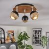 Haldor Plafondlamp, Plafondspot Bruin, Chroom, Zwart, 3-lichts