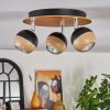 Haldor Plafondlamp, Plafondspot Bruin, Chroom, Zwart, 3-lichts