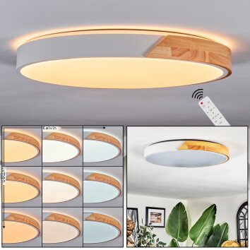 Cadaixo Plafondlamp LED Natuurlijke kleuren, Wit, 1-licht, Afstandsbediening
