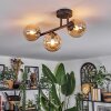 Chehalis Plafondlamp, Kogellampje Amber, 3-lichts