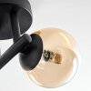 Chehalis Plafondlamp, Kogellampje Amber, Duidelijk, 3-lichts
