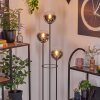 Gastor Staande lamp 30 cm Hout licht, Zwart, 3-lichts