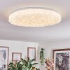 Dacen Plafondlamp LED Wit, 1-licht, Afstandsbediening