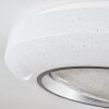 Dayen Plafondlamp LED Zilver, Wit, 1-licht, Afstandsbediening