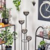 Gastor Staande lamp Hout donker, Zwart, 4-lichts