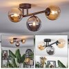 Chehalis Plafondlamp, Kogellampje Amber, Rookkleurig, 3-lichts
