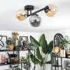 Chehalis Plafondlamp, Kogellampje Amber, Rookkleurig, 3-lichts