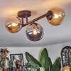 Chehalis Plafondlamp, Kogellampje Amber, Rookkleurig, 3-lichts