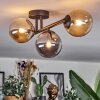 Chehalis Plafondlamp, Kogellampje Amber, Rookkleurig, 3-lichts