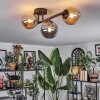 Chehalis Plafondlamp, Kogellampje Amber, Rookkleurig, 3-lichts