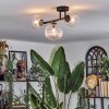 Chehalis Plafondlamp, Kogellampje Duidelijk, 3-lichts