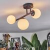 Chehalis Plafondlamp, Kogellampje Wit, 3-lichts