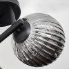 Chehalis Plafondlamp, Kogellampje Rookkleurig, 3-lichts