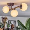 Chehalis Plafondlamp, Kogellampje Wit, 3-lichts