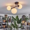 Chehalis Plafondlamp, Kogellampje Wit, 3-lichts