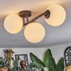 Chehalis Plafondlamp, Kogellampje Wit, 3-lichts