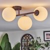 Chehalis Plafondlamp, Kogellampje Wit, 3-lichts