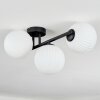Chehalis Plafondlamp, Kogellampje Wit, 3-lichts