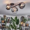 Chehalis Plafondlamp, Kogellampje Duidelijk, Rookkleurig, 3-lichts