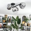 Chehalis Plafondlamp, Kogellampje Duidelijk, Rookkleurig, 3-lichts