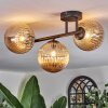 Chehalis Plafondlamp, Kogellampje Amber, 3-lichts