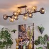 Gastor Plafondlamp, Kogellampje Amber, Duidelijk, Rookkleurig, 10-lichts