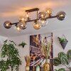 Gastor Plafondlamp, Kogellampje Amber, Duidelijk, Rookkleurig, 10-lichts