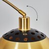 Baloca Staande lamp, Booglampen Goud, Zwart, 1-licht