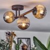 Chehalis Plafondlamp, Kogellampje Rookkleurig, 3-lichts