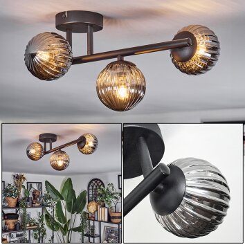 Chehalis Plafondlamp, Kogellampje Rookkleurig, 3-lichts