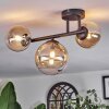 Chehalis Plafondlamp, Kogellampje Amber, Duidelijk, 3-lichts
