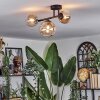 Chehalis Plafondlamp, Kogellampje Amber, Duidelijk, 3-lichts