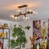 Gastor Plafondlamp, Kogellampje Duidelijk, 6-lichts