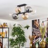 Gastor Plafondlamp, Kogellampje Amber, Duidelijk, Rookkleurig, 6-lichts