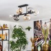 Gastor Plafondlamp, Kogellampje Amber, Duidelijk, Rookkleurig, 6-lichts