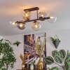 Gastor Plafondlamp, Kogellampje Amber, Duidelijk, Rookkleurig, 6-lichts
