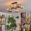 Gastor Plafondlamp, Kogellampje Amber, Rookkleurig, 6-lichts
