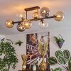 Gastor Plafondlamp, Kogellampje Amber, Duidelijk, Rookkleurig, 8-lichts
