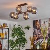 Gastor Plafondlamp, Kogellampje Rookkleurig, 6-lichts