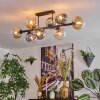 Gastor Plafondlamp, Kogellampje Amber, Duidelijk, Rookkleurig, 8-lichts