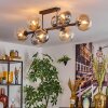 Gastor Plafondlamp, Kogellampje Amber, Duidelijk, Rookkleurig, 8-lichts