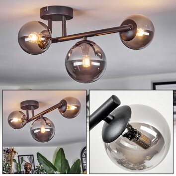 Chehalis Plafondlamp, Kogellampje Rookkleurig, 3-lichts
