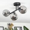 Chehalis Plafondlamp, Kogellampje Rookkleurig, 3-lichts