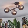 Chehalis Plafondlamp, Kogellampje Rookkleurig, 3-lichts