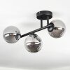 Chehalis Plafondlamp, Kogellampje Rookkleurig, 3-lichts