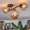 Chehalis Plafondlamp, Kogellampje Amber, 3-lichts