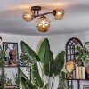 Chehalis Plafondlamp, Kogellampje Amber, 3-lichts