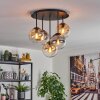 Gastor Plafondlamp, Kogellampje 45 cm Amber, Duidelijk, Rookkleurig, 5-lichts