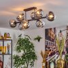 Gastor Plafondlamp, Kogellampje Chroom, Duidelijk, Rookkleurig, 8-lichts